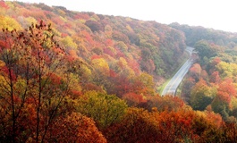 ADAC: Mietwagen im Herbst bis zu 40 Prozent günstiger