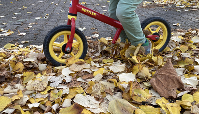 Glättegefahr durch Laub nicht unterschätzen