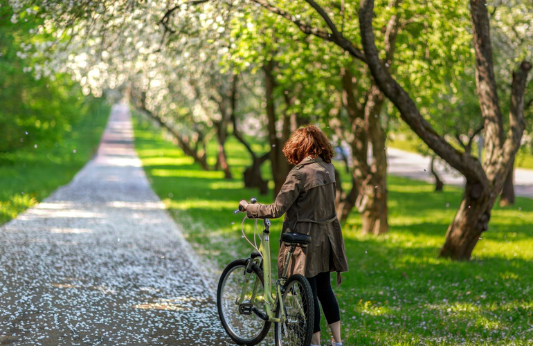 mid Groß-Gerau - Ein fachmännischer Technik-Check kann zum Saisonstart auch Radlern nicht schaden. GTÜ