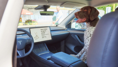 E-Auto: Hundemodus hält Temperatur konstant