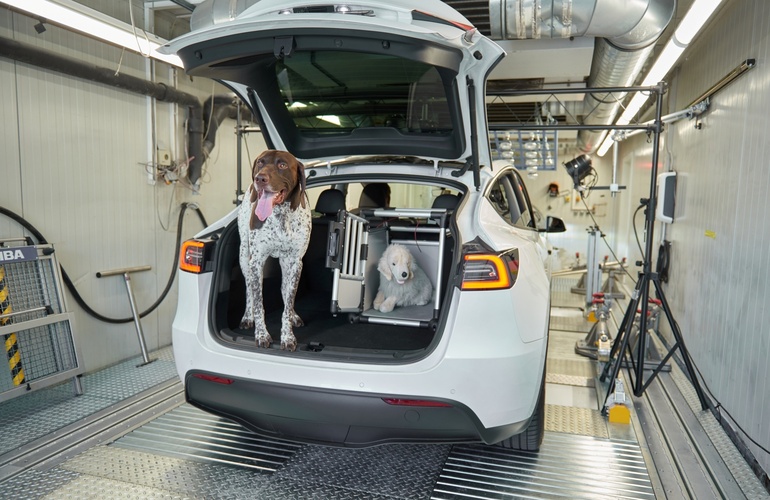 mid Groß-Gerau - Die Experten im ADAC Technik Zentrum haben die Temperatur auf der Rückbank und in einer Hundebox im Kofferraum gemessen. ADAC / Uwe Rattay